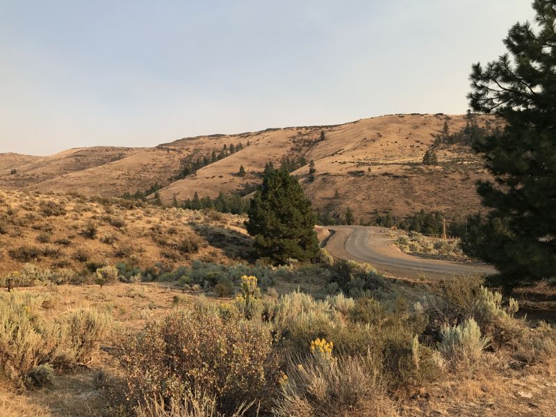 Secret Canyon Road - Elk Horn Ranch 100 Acres